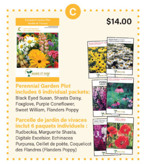Perennial Garden Plot