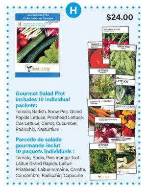 Gourmet Salad Plot
