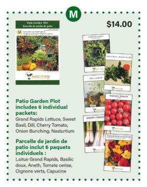 Patio Garden Plot
